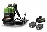 GREENWORKS Commercial Optimus 82v 36N Backpack Leaf Blower Core530 DP Kit BB361-C5DP (CORE TECH Batteries)
