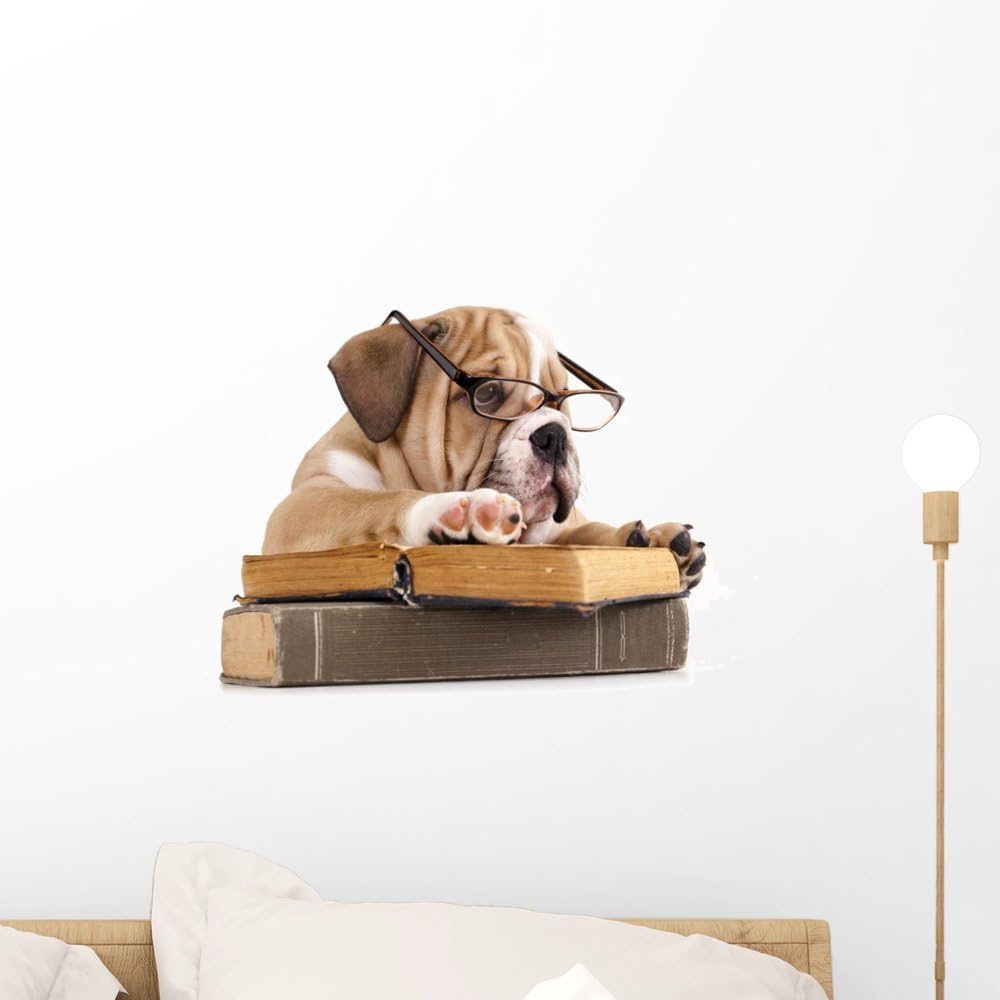 Wallmonkeys FOT-34447438 WM54093 Dog Decal Purebred English Bulldog in Glasses wiPeel and Stick Wall Decals, 18" W x 13" H/Small