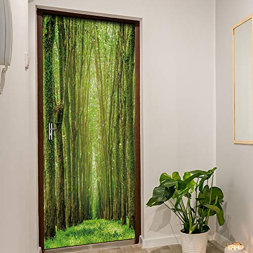 Vinilo 3D para puerta mural autoadhesivo extraíble y póster de pared grande 7