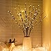 DK177 2 Pack Led Branch Light Battery Operated Lighted Branch Vase Filler Willow Tree Artificial Little Twig Power Brown 30 Inch 20 LED for Home Romantic Decoration, Warm White
