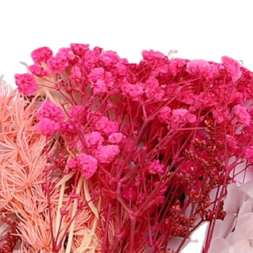 3 cajas de flores secas para manualidades miniatura 2