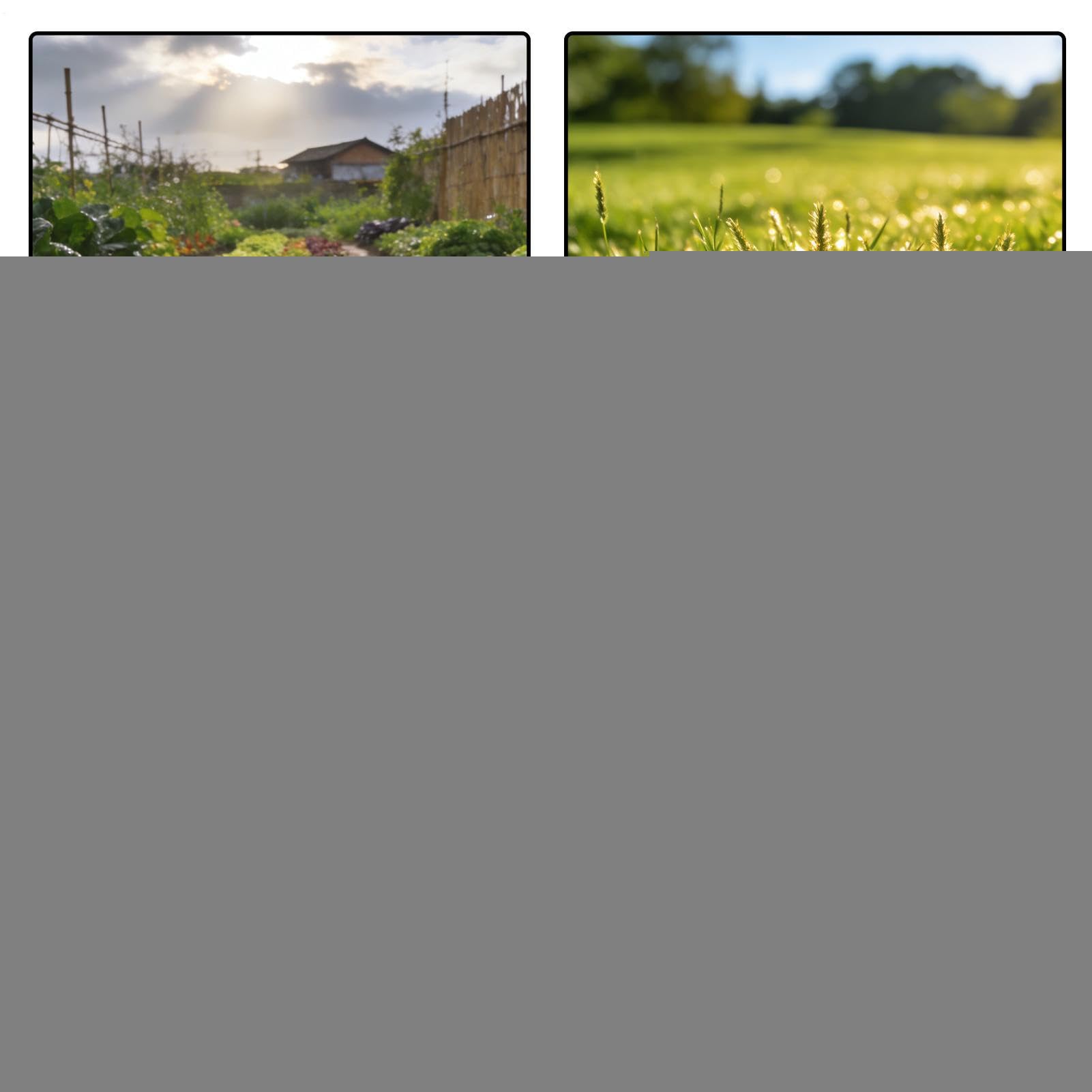 Genérico Espolvoreador de Tierra de Diatomeas - Polinizador Manual Árboles Frutales | Aplicador de Polvo con 2 Extensiones | Invernadero, Jardín, Flores, Interiores, Exteriores, Granja, Hogar