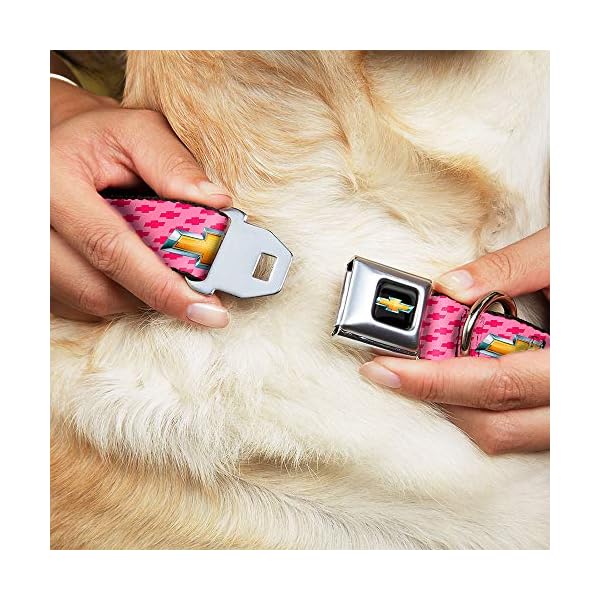 Buckle-Down DC-WCH010-WL Dog Collar Seatbelt Buckle, Chevy Gold Bowtie with Logo Pink, 1.5″ by 18-32″ Buckle-Down DC-WCH010-WL Dog Collar Seatbelt Buckle, Chevy Gold Bowtie with Logo Pink, 1.5″ by 18-32″