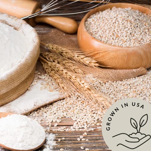 Image of Be Still Farms Bulk Organic Barley Flour - 4.8lb Bread Flour for Baking - Ideal Low Carb High Protein Flour - Rich in Fiber | USA Grown | USDA Certified | Vegan | Non-GMO