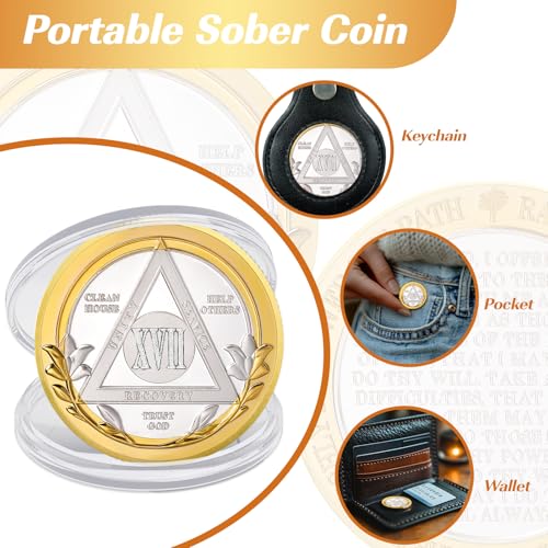Image of Victory Path 17 Year Sobriety Coin, Affirmation AA Chips, Addiction Recovery Seventeen Years Sober Medallions, Celebrating Anniversary Token, Alcoholics Anonymous Sobriety Gifts for Men Women