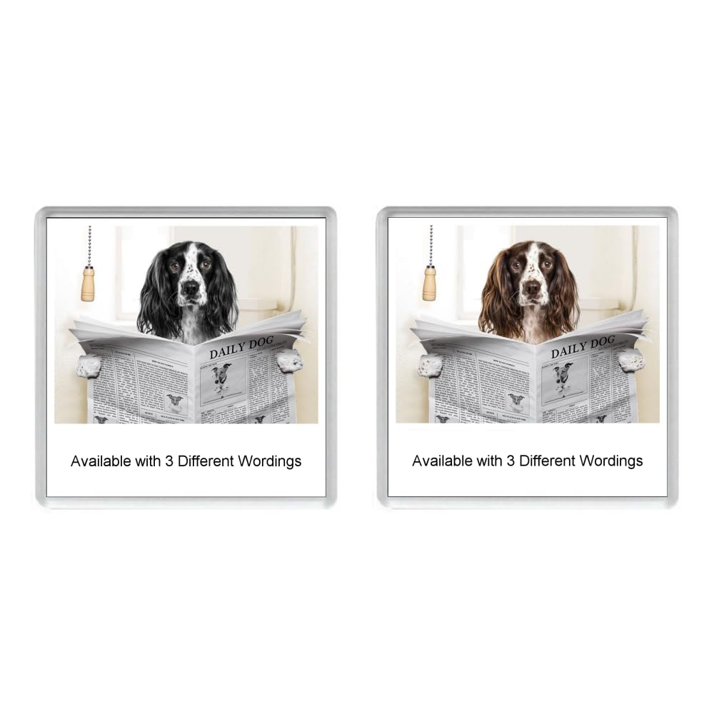 Key Expressions Multi Springer Spaniel Reading A Newspaper On The Loo Novelty Acrylic Toilet Door Sign (2 Designs & 3 Wordings Available)