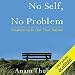 No Self, No Problem: Awakening to Our True Nature