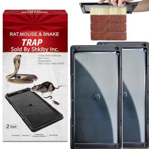 Rat & Mouse Glue-Traps 2 Pack, Large Bulk Traps, Indoor