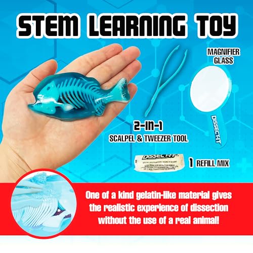 Image of Top Secret Toys Dissect-It Mini Labs Piranha Lab Dissection Kit for Kids, Realistic Synthetic Kids Science Kit - On, Biology and Animal Anatomy, STEM Toy, Ages 6+