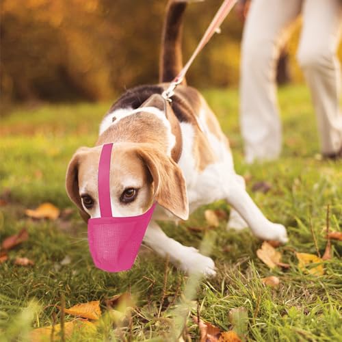 Image of Dog Muzzle, Soft Mesh Covered Muzzles for Small, Medium, Large and X-Large Dogs, Muzzle with Adjustable Straps, Prevent Barking, Biting, and Accidental Ingestion (X-Small,Pink)