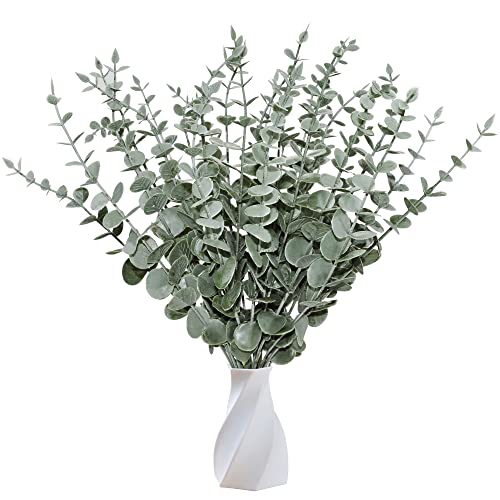 Hojas De Eucalipto Lidl Me pica la curiosidad