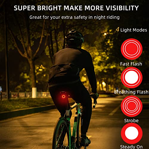 ROCKBROS Smart Brake Tail Light