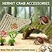 Obantrsz Hermit Crab Accessories, Hermit Crab Toys Flexible Climbing Bridge Reptile Hammock Habitat Decor, Artificial Plants for Hermit Crabs & Small Natural Shell