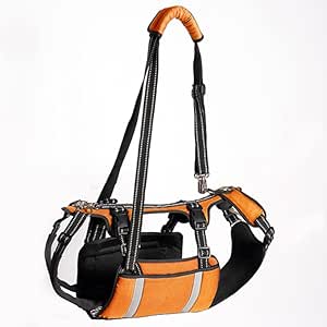 COODEO Sling-hondendrager, noodrugzak ter ondersteuning van de poten van huisdieren en hefharnas voor honden, hondendrager voor oudere honden met artritis (XL, zwart COODEO Sling-hondendrager, noodrugzak ter ondersteuning van de poten van huisdieren en hefharnas voor honden, hondendrager voor oudere honden met artritis (XL, zwart
