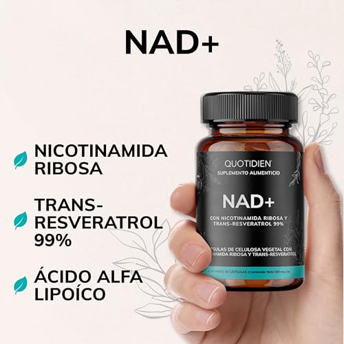 La mejor comparación de Nicolee al mejor precio. 33 Imagen adicional