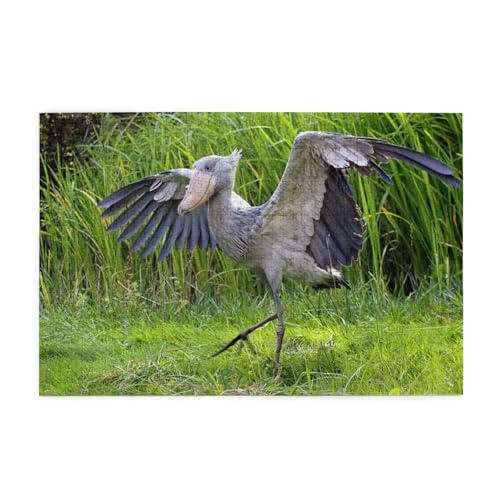 Zateem WO\[pY 1000s[X [pY   nVrRE WO\[pY pY ؐpY [ς Ǌ|ǉ pY EH[A[g CeA ̏ [P[Xt W[Q[ Puzzle v