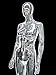 Female Chrome Mannequin - Female Full Body Chrome Mannequin w/Removable Head (#PS-SF6SCEG)