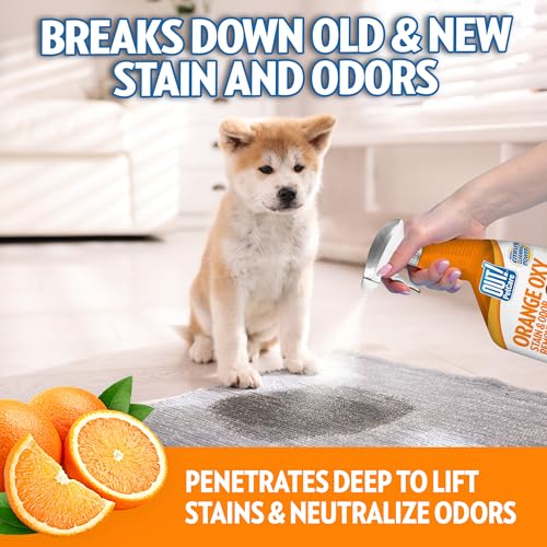 Image of OUT! PetCare Complete Oxy Stain Remover, Dog Stain Carpet Cleaner, 32oz | Upholstery Cleaner, Odor Eliminator, Stain Remover Spray, Pet Carpet Cleaner, Dog Urine Remover, Spot Cleaner, Floor Cleaner