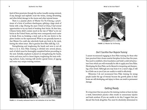 Authentic Iron Palm: The Complete Training Manual