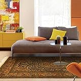 ✅ Ce Tapis d'orient est parfait pour les zones fréquemment utilisées dans votre maison. En outre, il est bien parfaitement adapté aux enfants et aux animaux domestiques