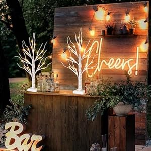 Vanthylit White Birch Tree with LED Lights - Set of 2, LED Tabletop Tree with Timer, Christmas Decorations Lighted Tree for Indoor Mantel Home Decor (2 FT, 24 LED) Vanthylit White Birch Tree with LED Lights Set of 2 LED Tabletop Tree with Timer Christmas Decorations Lighted Tree for Indoor Mantel Home Decor 2 FT 24 LED