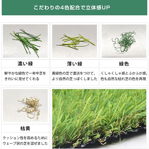Amazon | 人工芝 ロール 2m×10m 芝丈35mm ピン42本つき 4色立体感 透水
