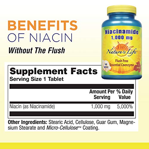 Nature's Life Niacinamide, 1000 mg Non Flushing Vitamin B3 Niacin Gourmetian