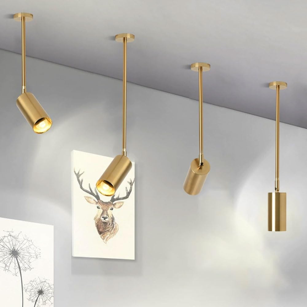 MOYEE Wall Lights for Bedroom Adjustable Ceiling Spotlight Fixture Gold Ceiling Spot Lighting Indoor Single Directional Spotlight Accent Lamp 325°+180° Rotation for Restaurant Shop Pictu/30cm