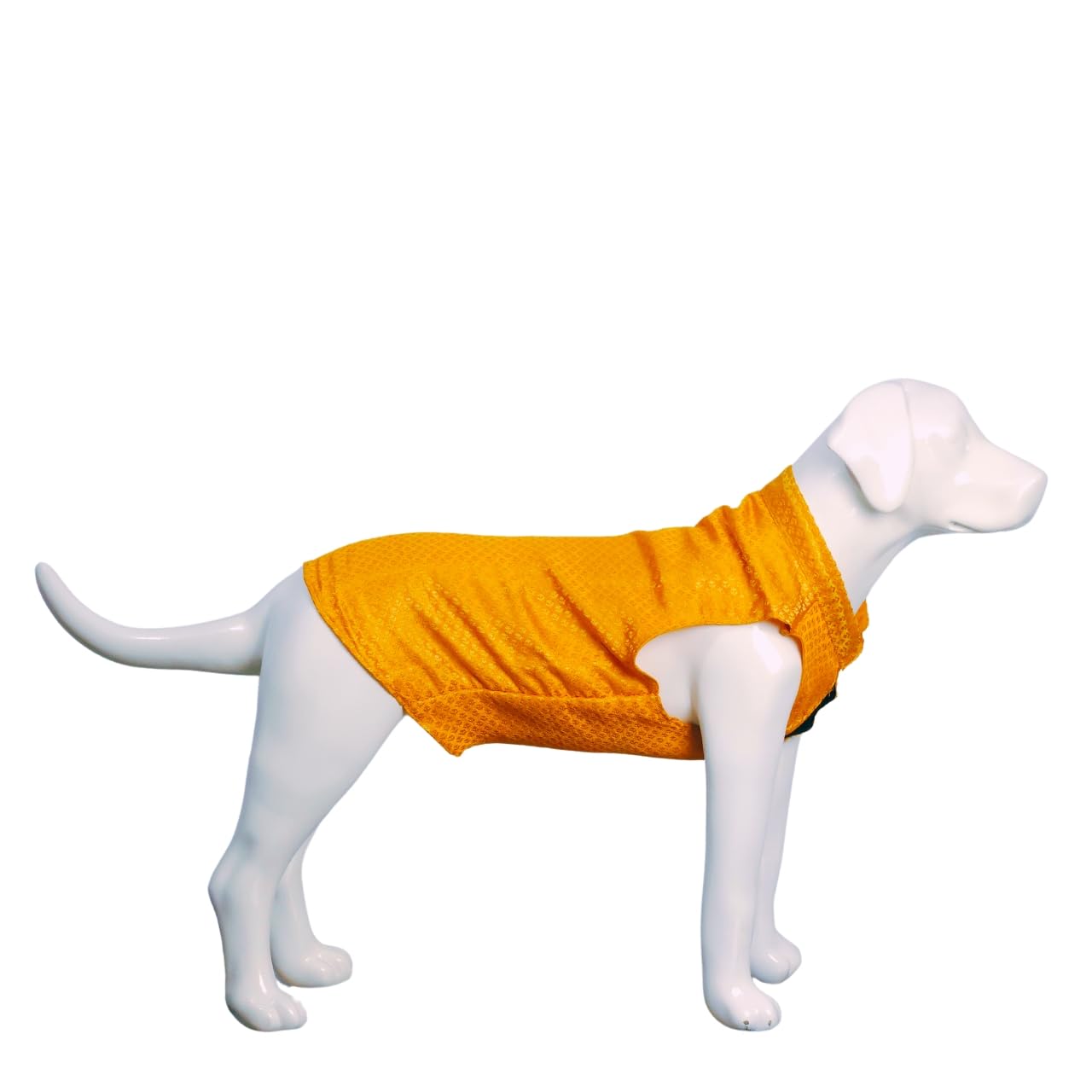 Payton PERYY Dog Kurta Sherwani Dress | Perfect for Diwali, Weddings and Special Events (Custom-FIT, Orange) 2
