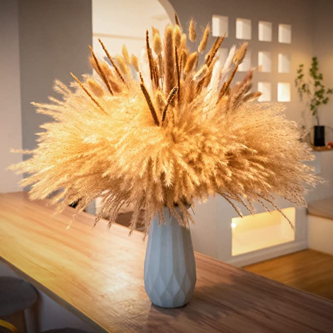 Fluffy Small Pampas Grass Short Pampas Grass Dried Pompas Decorativas in Vase Boho Plant Pompus 105 Stems Natural Pampas Grass 17.5'' Boho Decor Pompous.