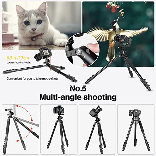 Koolehaoda Camera Tripod 69"/175Cm, Lightweight Compact Aluminum Tripod With 360 Degree Ball Head For Dslr Cameras, Loading Up To 13Lbs / 6Kg #TOP5