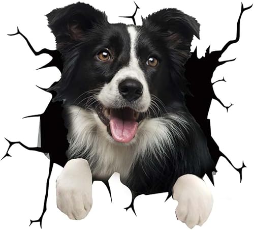 Calcomanías 3D de ventana de perro para autos, divertidas calcomanías de decoración de automóvil, calcomanías impermeables para grietas de