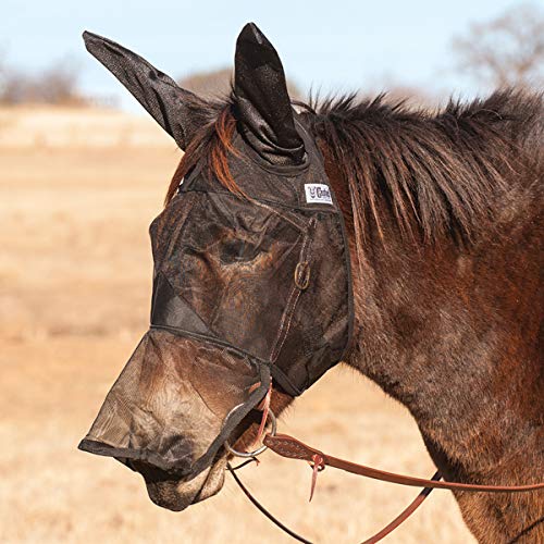 Image of CASHEL QR Mule SM QTR HSE /ARB /COB LWE (QRMALE)