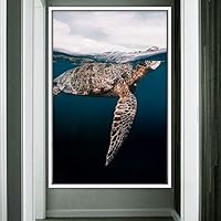 Framed Canvas Wall Art Fish on The Surface Bedroom Dolphin Marine Life Multicolor Nautical Photography - 16x24 inches