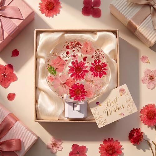 Image of Glooglitter Pressed Flower Night Light Plug in-Handmade Dried Floral Wall Night Light, Soft Glow Decorative Nightlight for Hallway Bedroom Nursery Bathroom, Vintage Botanical(Red,Flower)