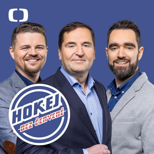 Hokej bez červen&eacute;: Co chybělo parahokejistům k bronzu a co uk&aacute;zalo předkolo play-off?