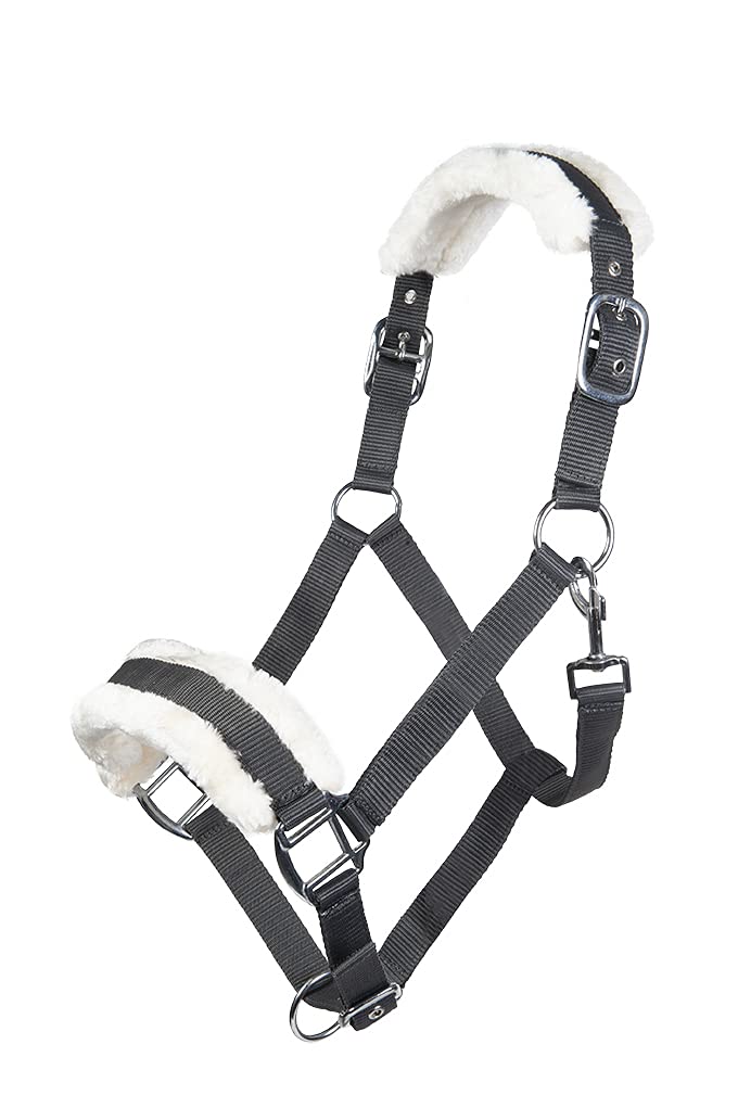Funda Posten Ange Warmblut manta transpirable hípica 3