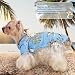 Hawaii Hunde Shirts für Kleine,Sommer Hundeshirts,Pet Poloshirt T-Shirt,Hunde Shirt für Kleine Dog,Hundeshirt Bedruckte T-Shirts Schnell Trocknende Atmungsaktive für Small Dog Katzen (Himmelblau,M)