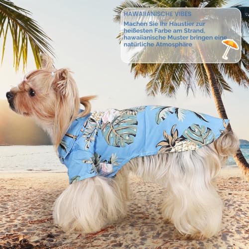 Hawaii Hunde Shirts für Kleine,Sommer Hundeshirts,Pet Poloshirt T-Shirt,Hunde Shirt für Kleine Dog,Hundeshirt Bedruckte T-Shirts Schnell Trocknende Atmungsaktive für Small Dog Katzen (Himmelblau,M)