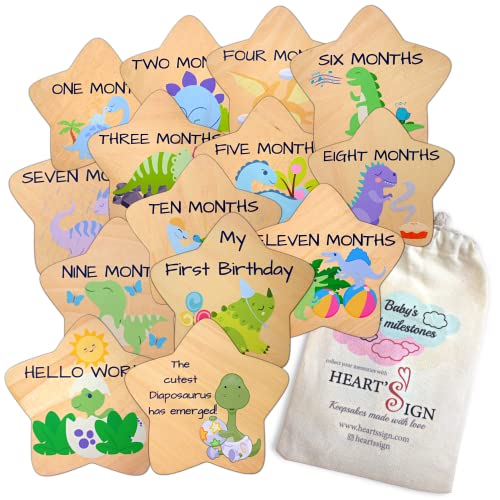 Heart's Sign Baby Monthly Milestone Cards - Dinosaurs Monthly Milestone Wood Discs | Baby Boy Month Milestone | Hello World Newborn Sign | Monthly Baby Milestone Cards | Baby Months Signs #TOP6