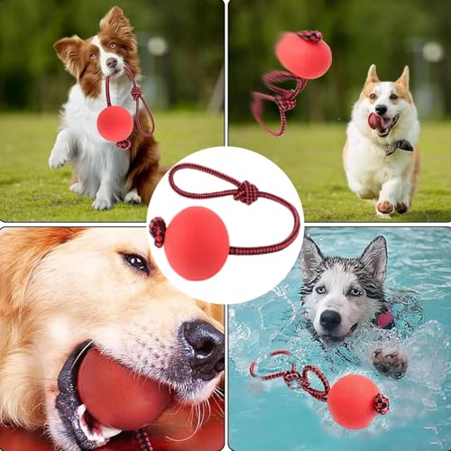 YQYCE 5 PCS Ball mit Schnur Hund, Wurfball für Hunde, Hundespielzeug mit Bällen am Seil, Hundebälle am Seil mit strapazierfähigen, elastischen Bällen, interaktives Hundespielzeug zum Apportieren