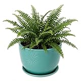 MyGift 7 Inch Round Turquoise Ceramic Plant Pot with Drainage Hole and Attached Saucer, Modern Decorative Embossed Sunburst Planter Container for Indoor Home Garden