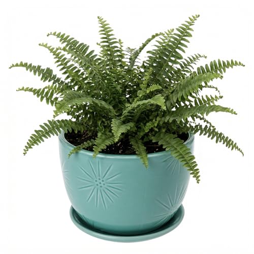 MyGift 7 Inch Round Turquoise Ceramic Plant Pot with Drainage Hole and Attached Saucer, Modern Decorative Embossed Sunburst Planter Container for Indoor Home Garden