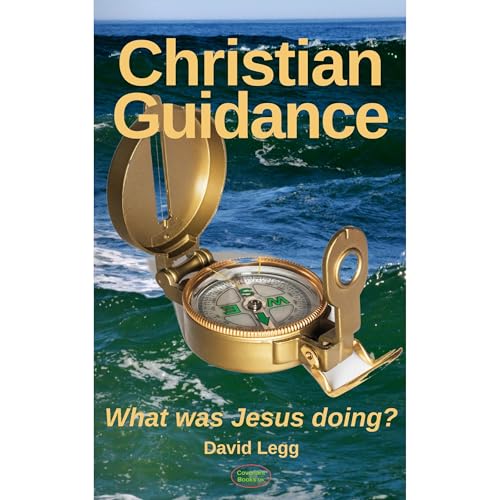 Christian Guidance Audiolibro Por David Legg arte de portada