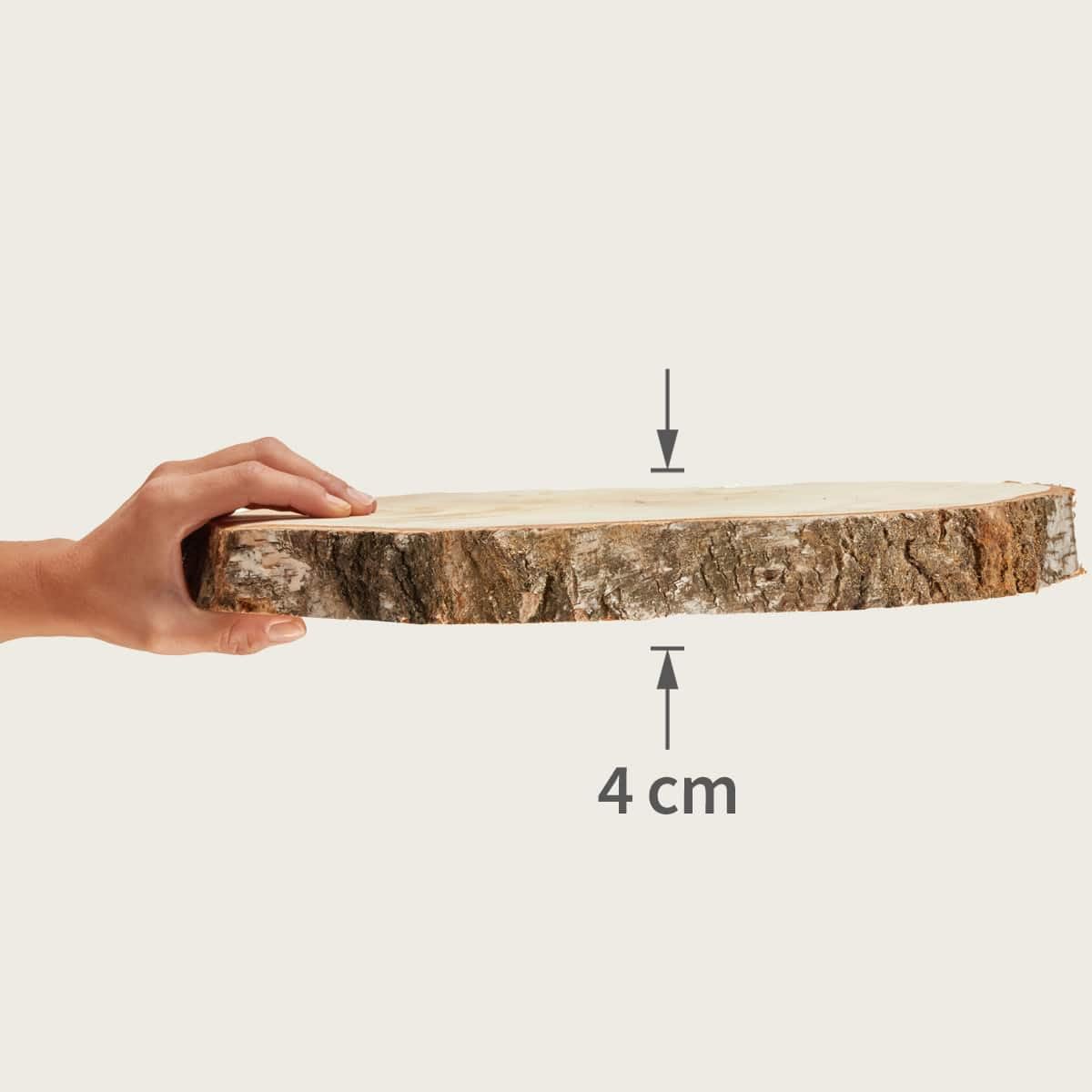 Große Holzscheiben zum Basteln oder Dekorieren - 10 Stück naturbelassene Baumscheiben ca. 35 cm (33 - 37 cm) Durchmesser aus Birkenholz - runde Holz Birkenscheiben als Holzdeko Holzplatten