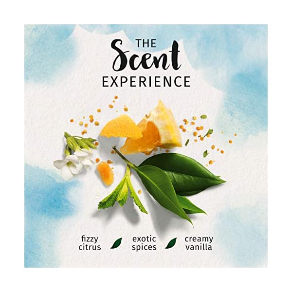 Herbal Essences Shampoo and Conditioner Set Repairing Argan Oil of Morocco with Natural Source Ingredients, Color Safe, BioRenew, 20.2 Fl Oz, 2 Count