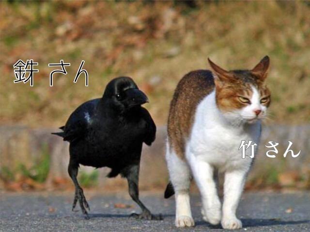 お客様イメージ