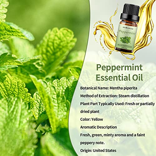 Eucalyptus Peppermint Essential Oil 2 Set, 100% Pure & Natural Essential Oil Sets For Aromatherapy And Diffuser Essential Oils Kit - 10Ml #TOP2