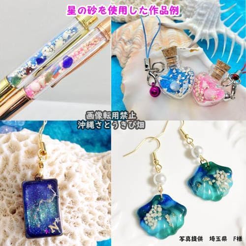 Amazon.co.jp: 沖縄石垣島 星の砂パック100g |沖縄 レジン 素材 デコ