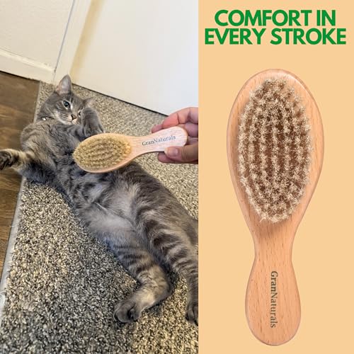 GranNaturals Boar Bristle Soft Cat Brush for Indoor, Outdoor, Short Haired Cats, Kittens, Small Dog, Rabbit, Furry Pets - Gentle Grooming on Sensitive Hair Coat & Tail with Durable Wooden Handle - Thumbnail 7